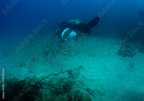  divers exploring a coral reef in the caribbean sea