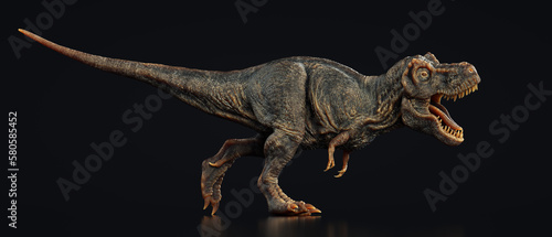 Tyrannosaurus Rex © Orlando Florin Rosu