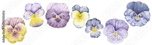 Big set of watercolor illustrations with vintage pansy flowers isolated on white background.
