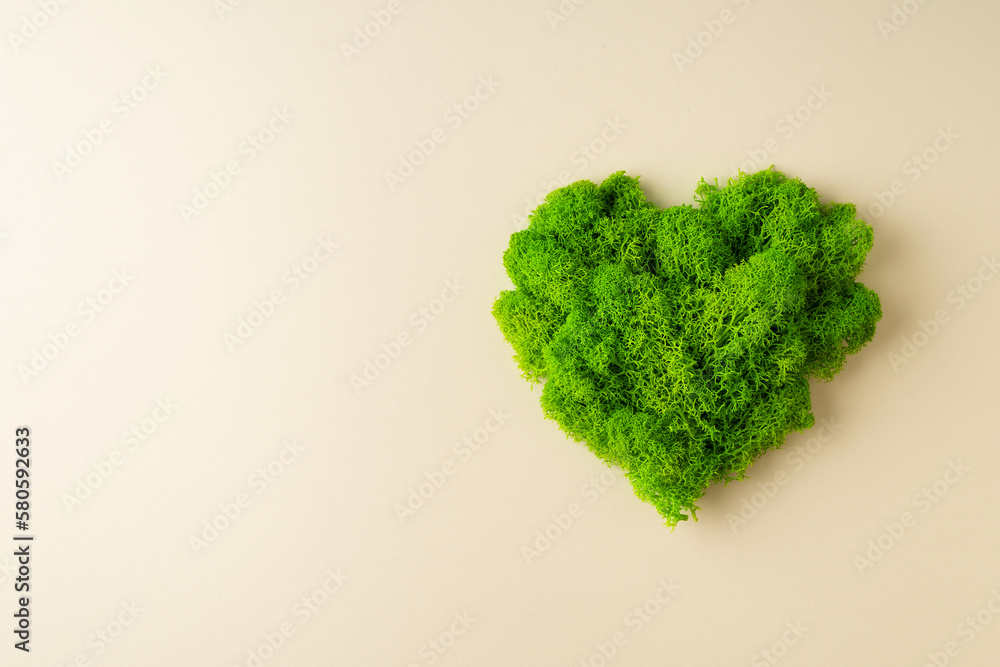 World earth day concept with green plant heart on beige background, World earth day concept with green plant heart on beige background,
