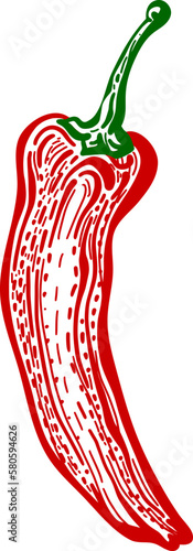 Chili pepper. Hot spicy. Vegetable engraved illustration. Vegetarian food, red paprika