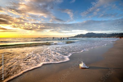 Canvas-taulu Sea snail in the sand