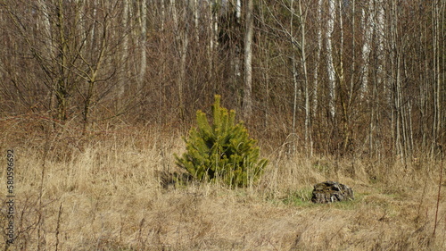  walking in the field