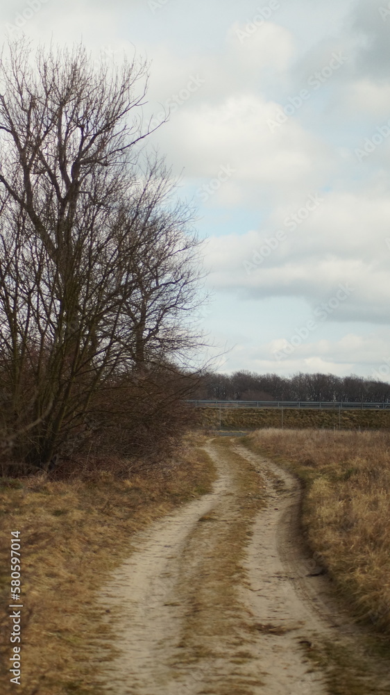 Obraz premium landscape with trees