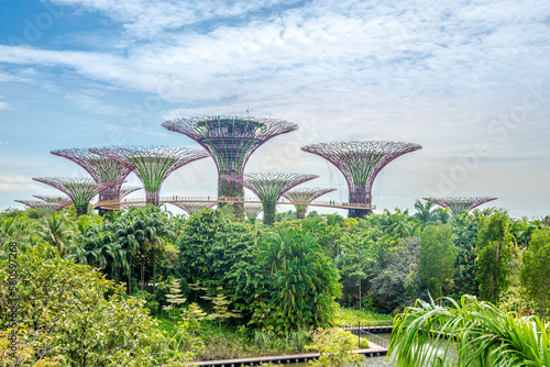 View at the Flowers of Gardens by the Bay - Singapore © milosk50