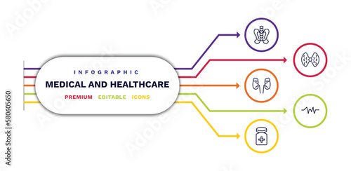 set of medical and healthcare thin line icons. medical and healthcare outline icons with infographic template. linear icons such as p, adrenal gland, cure, thyroid gland, pulse line vector.