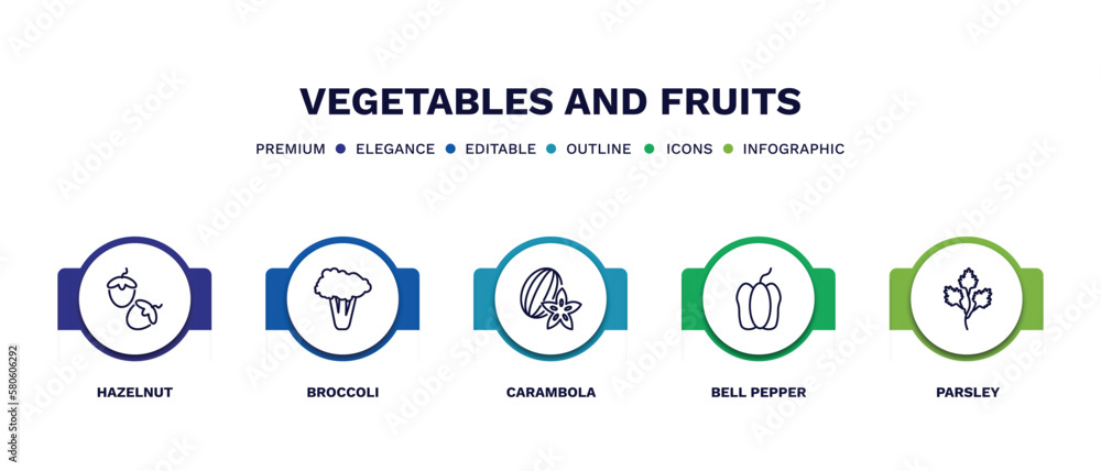 set of vegetables and fruits thin line icons. vegetables and fruits outline icons with infographic template. linear icons such as hazelnut, broccoli, carambola, bell pepper, parsley vector. set of vegetables and fruits thin line icons. vegetables and fruits outline icons with infographic template. linear icons such as hazelnut, broccoli, carambola, bell pepper, parsley vector.