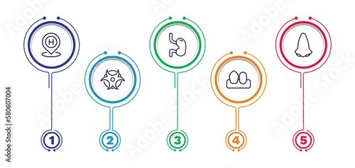 set of medical and healthcare thin line icons. medical and healthcare outline icons with infographic template. linear icons such as hospital placeholder, esophagus, l, biological warning, canine photo