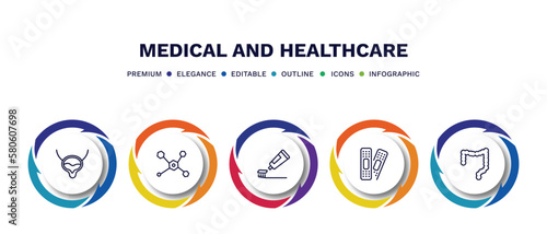 set of medical and healthcare thin line icons. medical and healthcare outline icons with infographic template. linear icons such as bladder, molecular structure, brush with tooth paste, plastering,