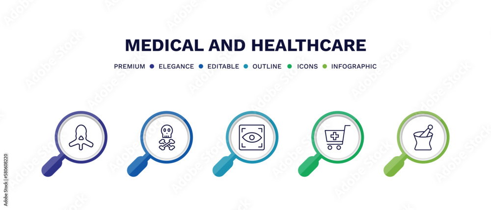 set of medical and healthcare thin line icons. medical and healthcare outline icons with infographic template. linear icons such as vertebra, skull and bone, eye scanner medical, phary shopping set of medical and healthcare thin line icons. medical and healthcare outline icons with infographic template. linear icons such as vertebra, skull and bone, eye scanner medical, phary shopping