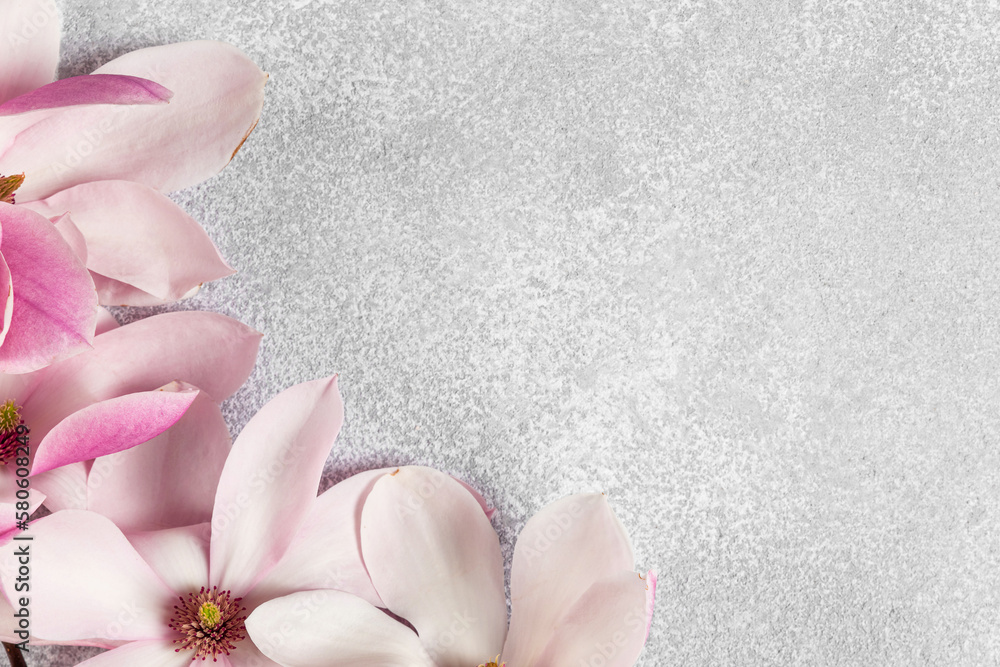 Spring blossoming magnolia flowers on gray background. Wedding, Mothers day card. Flat lay. Top view Spring blossoming magnolia flowers on gray background. Wedding, Mothers day card. Flat lay. Top view