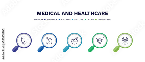 set of medical and healthcare thin line icons. medical and healthcare outline icons with infographic template. linear icons such as perfusion, esophagus, medicines bowl, bladder, hospital