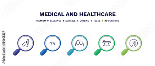 set of medical and healthcare thin line icons. medical and healthcare outline icons with infographic template. linear icons such as gallbladder, pulse line, canine, table of treatments, heliport