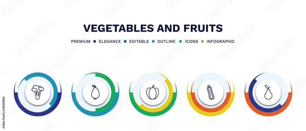 set of vegetables and fruits thin line icons. vegetables and fruits outline icons with infographic template. linear icons such as cauliflower, guava, pepper, courgette, pear vector. set of vegetables and fruits thin line icons. vegetables and fruits outline icons with infographic template. linear icons such as cauliflower, guava, pepper, courgette, pear vector.
