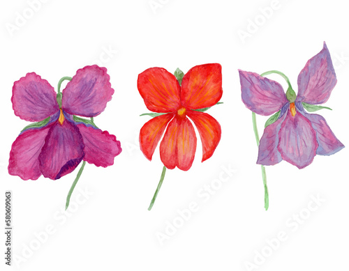 Vector floral arrangement collection watercolor violets © Liska