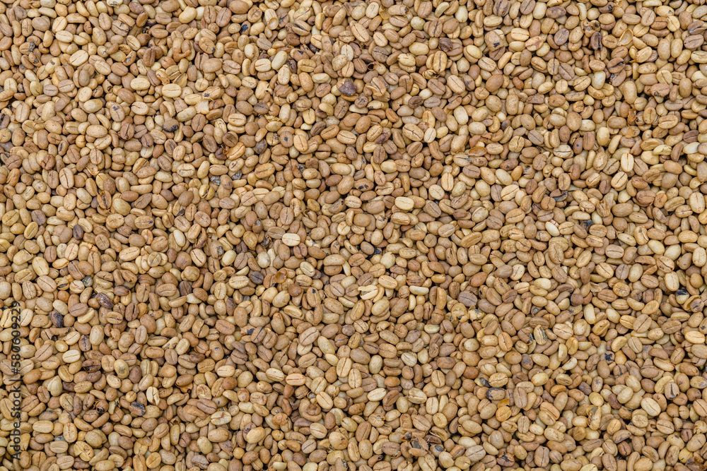 Background of coffee beans. Natural pattern Background of coffee beans. Natural pattern