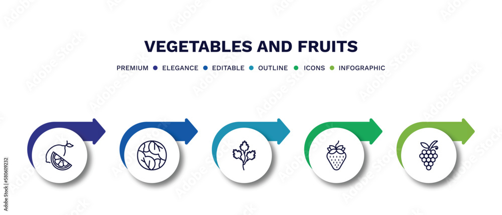 set of vegetables and fruits thin line icons. vegetables and fruits outline icons with infographic template. linear icons such as lemon, cabbage, parsley, strawberry, grapes vector. set of vegetables and fruits thin line icons. vegetables and fruits outline icons with infographic template. linear icons such as lemon, cabbage, parsley, strawberry, grapes vector.