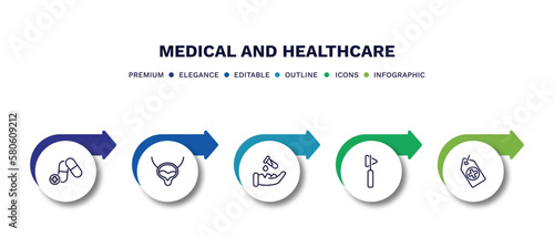 set of medical and healthcare thin line icons. medical and healthcare outline icons with infographic template. linear icons such as medicine capsules, bladder, acid falling on hand, medical hammer