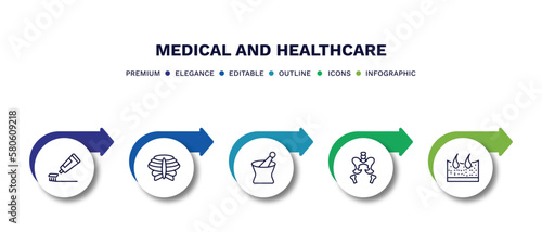 set of medical and healthcare thin line icons. medical and healthcare outline icons with infographic template. linear icons such as brush with tooth paste, sternum, phary tool, pelvic area, dermis
