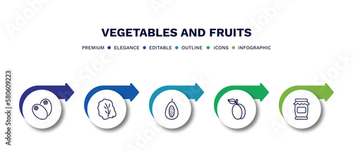 set of vegetables and fruits thin line icons. vegetables and fruits outline icons with infographic template. linear icons such as breast milk fruit, lettuce, papaya, apricot, mason jar vector.