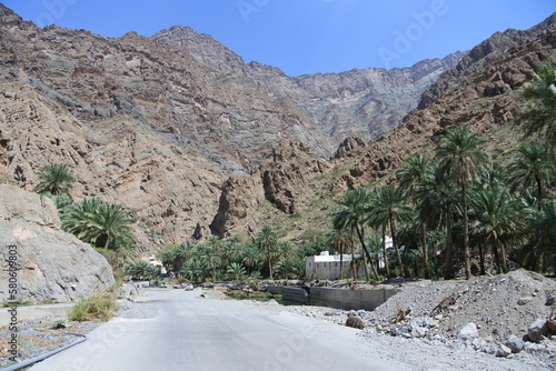 Palmen im Wadi Bani Awf im Oman