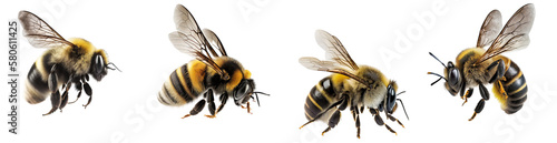 Fotografija Generative AI illustration side view of small striped bees with transparent wing