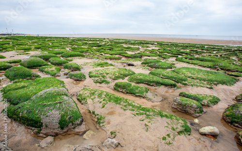 Stampa su tela Low Tide, East Anglia coast, England, UK
