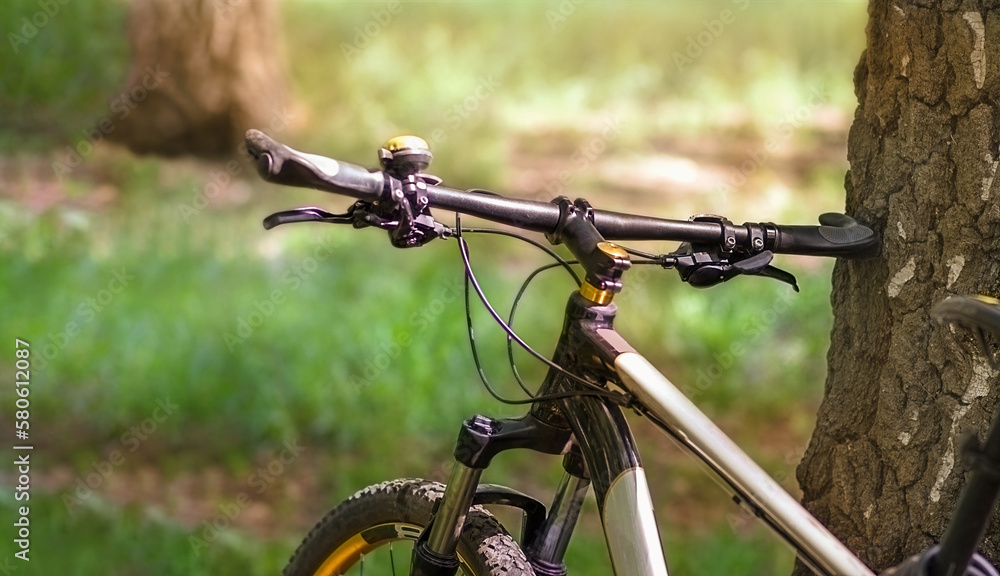 The handlebar of the bike rests on a tree in the forest. An active lifestyle. Selective focus. The handlebar of the bike rests on a tree in the forest. An active lifestyle. Selective focus.