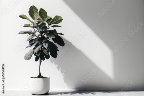 Ficus Lyrata Fake Plant with a beige wall. Illustration AI Generative