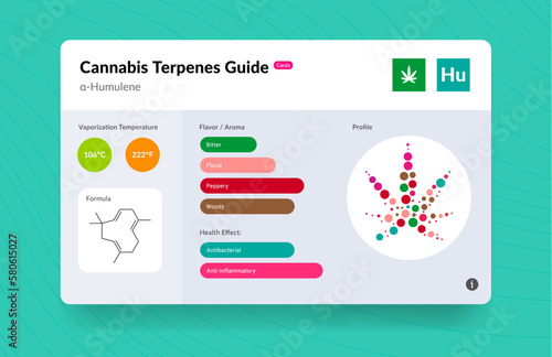 UI Cannabis Terpene Guide Information Chart. Aroma and Flavor with Health Benefits and Vaporize Temperature. Vector.