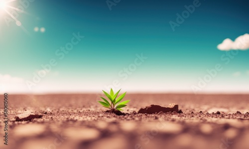 plant in desert with cracks in the ground © Cad3D.Expert