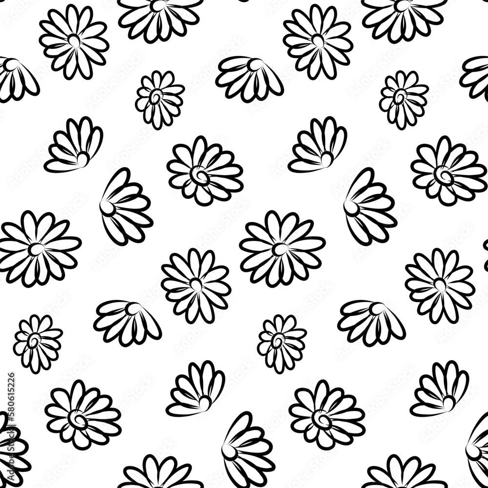 Seamless botanical pattern with hand drawn chamomile flowers on white. Wrapping paper with daisy. Coloring