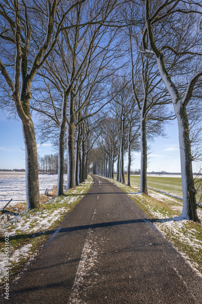 Snowy trees and a wintry landscape along the road towards the town of Coevorden, walking through the Dutch famous walking path called 