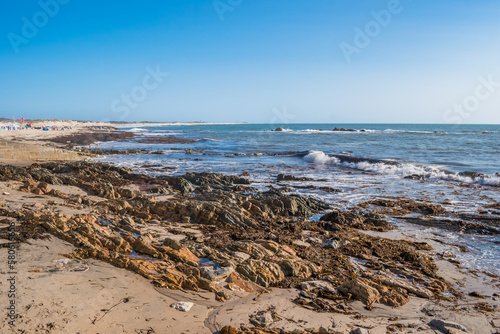 Rocks and seaweed on the sand of Apúlia beach with waves in the sea, Esposende PORTUGAL photo