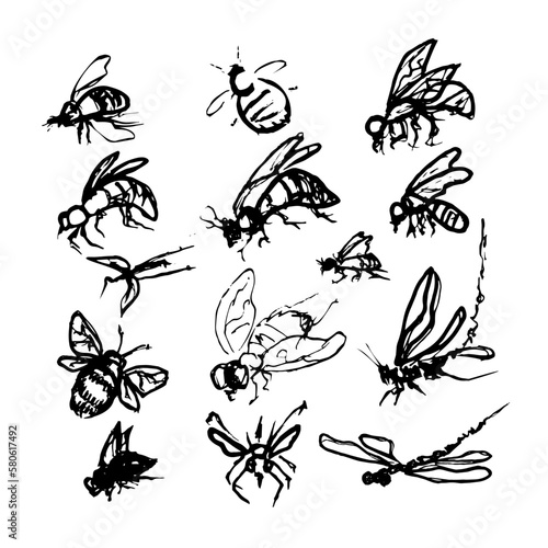 Doodle insects. Collection with spring and summer insects, bugs and bees many species in hand-drawn style   © Ljudmila