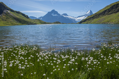 Der Bachalpsee im Berner Oberland