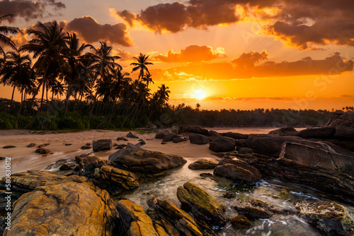 Beautiful sunset under the coconut plams on Sri Lanka beach.