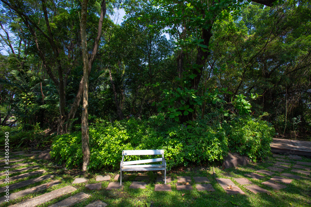 The park is shady with small and large trees mixed with greenery. There is a small white bench