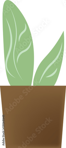 botanical logo indoor plant illustration leaf decoration indor