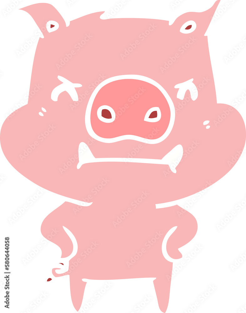 angry flat color style cartoon pig angry flat color style cartoon pig