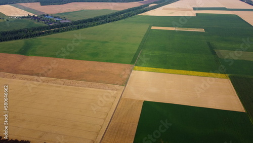 Agricultural fields. Yellow and green agricultural fields with ripe wheat and other different agricultural crops. Aerial drone view. Harvesting agrarian land. Growing cultivation agricultural crops.