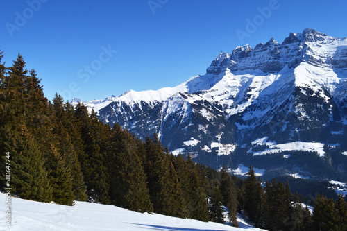 Rocky mountain peaks seen over pine trees in the mountains, Swiss Alps