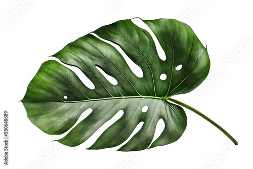 Beautiful monstera leaf on transparent background, as PNG. Close-up view. Exotic plant. Generative AI.