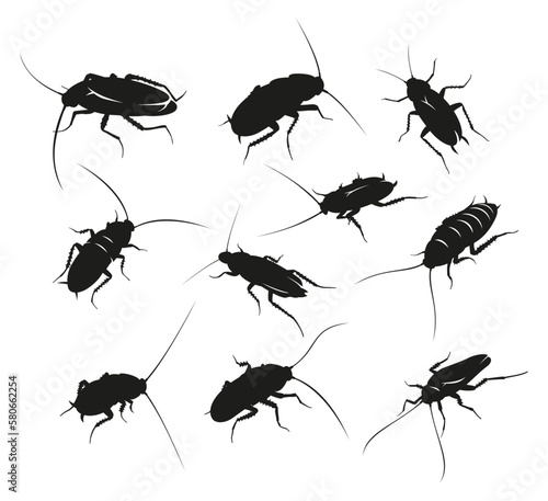 Cockroach black silhouette set creepy insect pest with antenna paw vector illustration