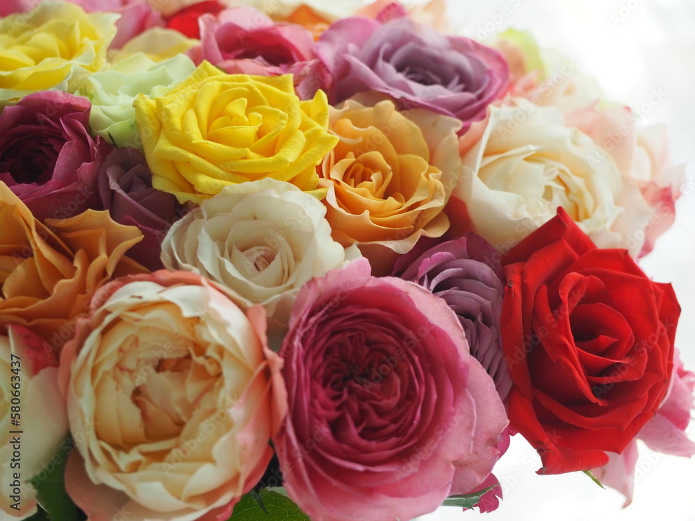 カラフルなバラの花束 カラフルなバラの花束