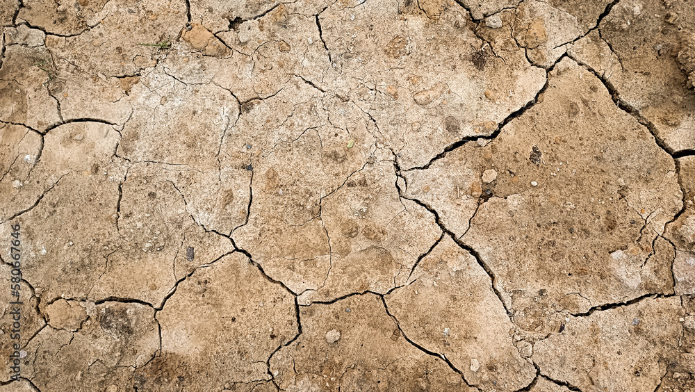 Fototapeta premium Dry cracked earth