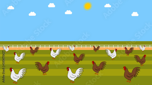 Illustration of white and brown chickens in a barnyard with beautiful blue sky