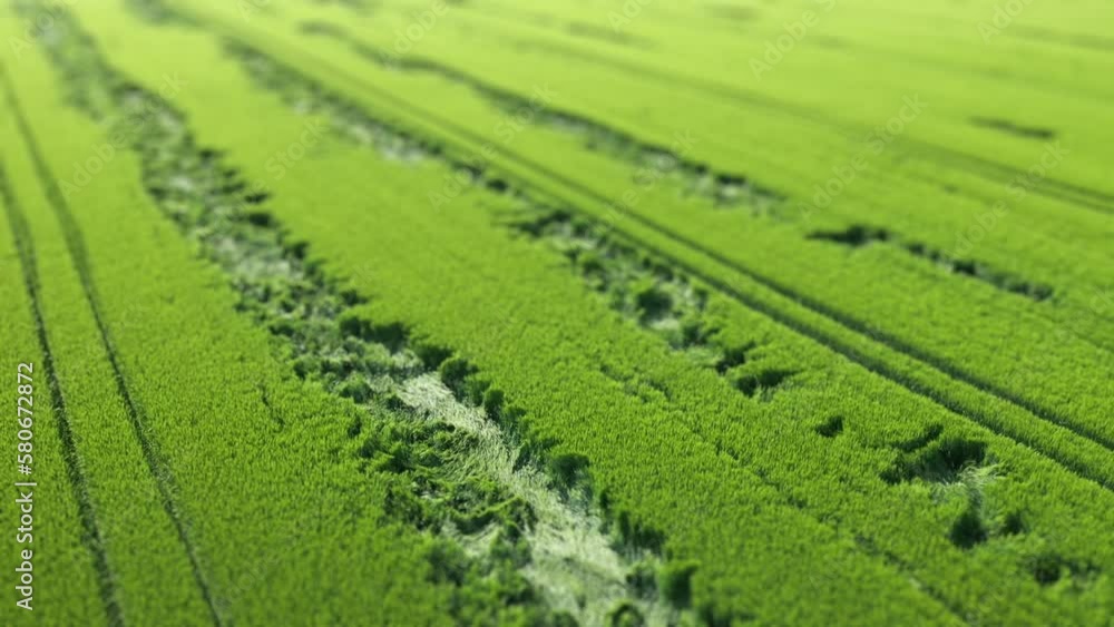 Aerial View Green Field, Tilt Shift Lens Aerial View Green Field, Tilt Shift Lens