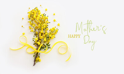 mother's day concept with spring yellow mimosa flowers over white isolated background