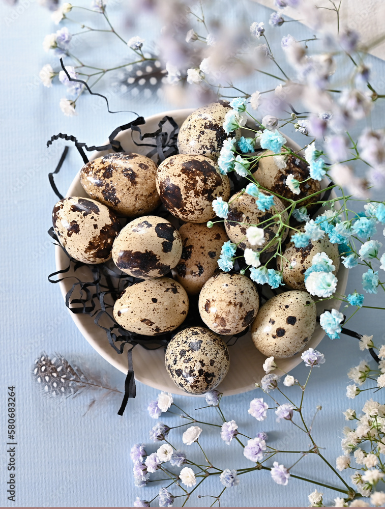 Obraz premium Create an Easter composition of Easter quail eggs and flowers on a blue background. A gentle greeting card for the Easter holiday.Top view, copy location, flat layout.
